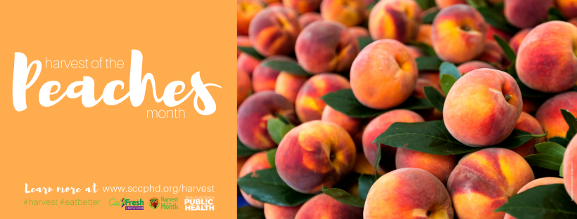 Harvest of the Month, Peaches