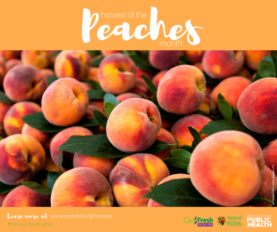 Harvest of the Month, Peaches