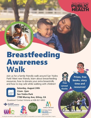 Breast Feeding FLyer