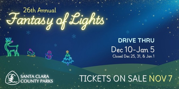 Fantasy of Lights information