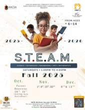 STEAM 2025