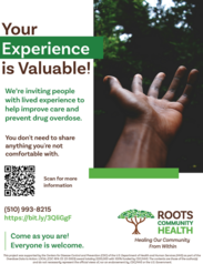 Roots focus group flyer