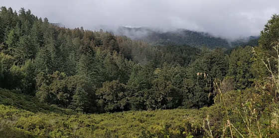 Climate & Habitat Resiliency Plan Hike