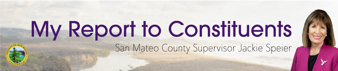 District 1 Newsletter Banner