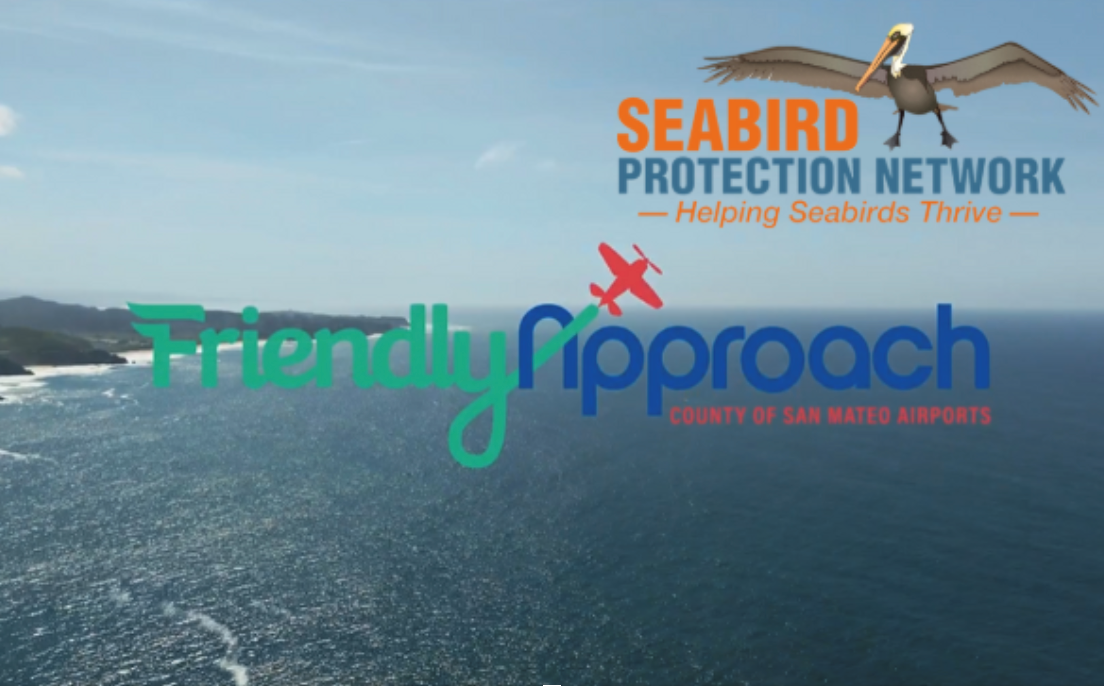 seabird protection network