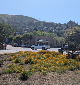 Brisbane Quarry Park