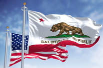 flags for voting