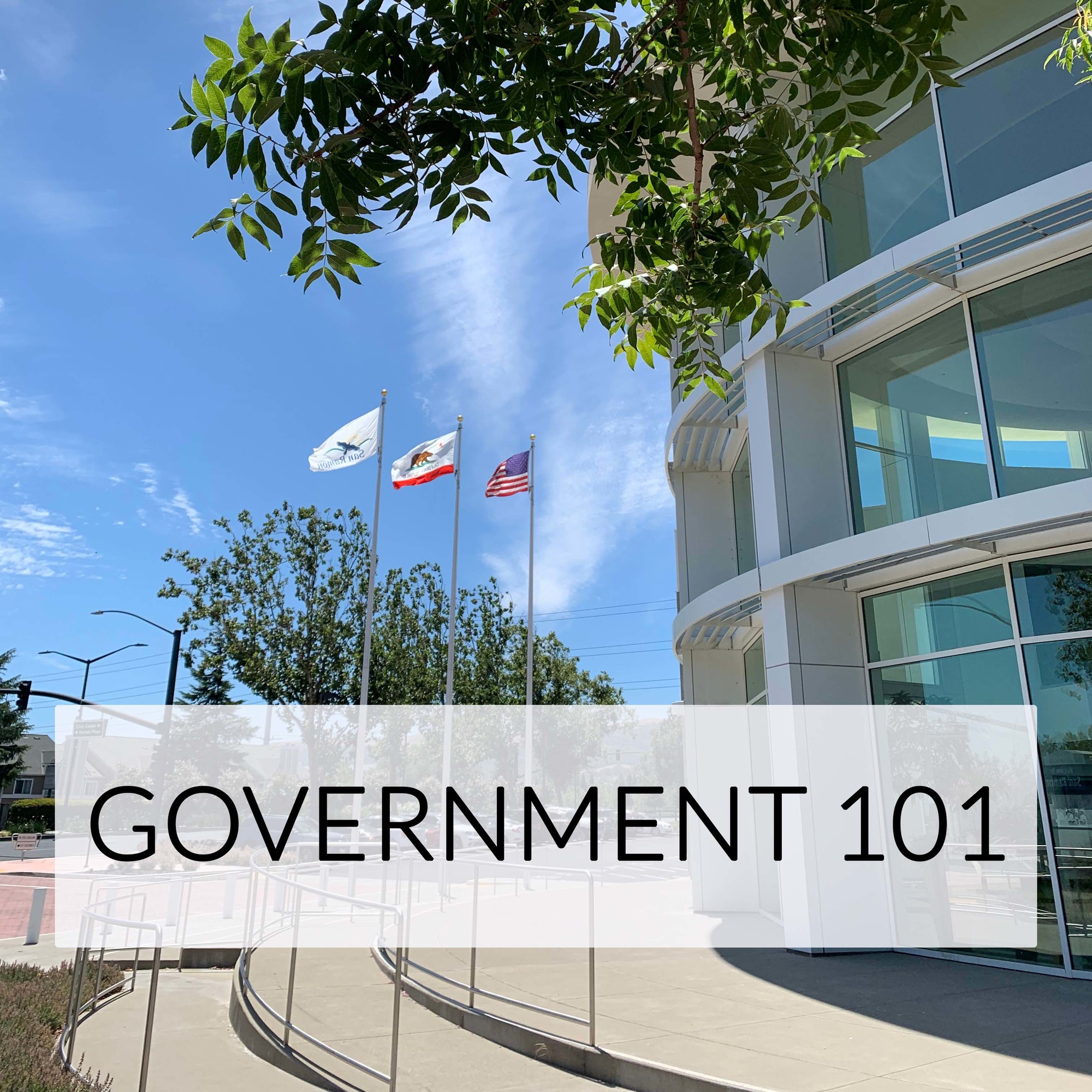 Government 101