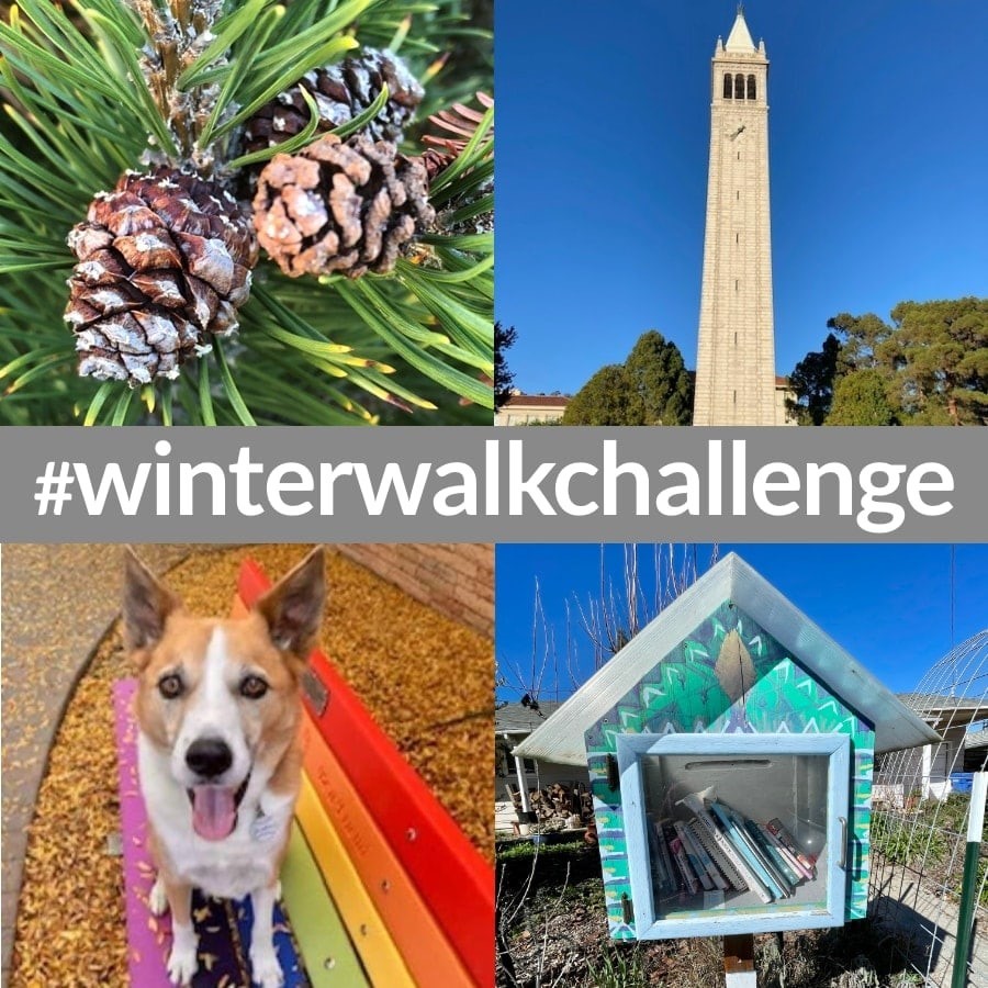 Winter Walk Challenge 2023