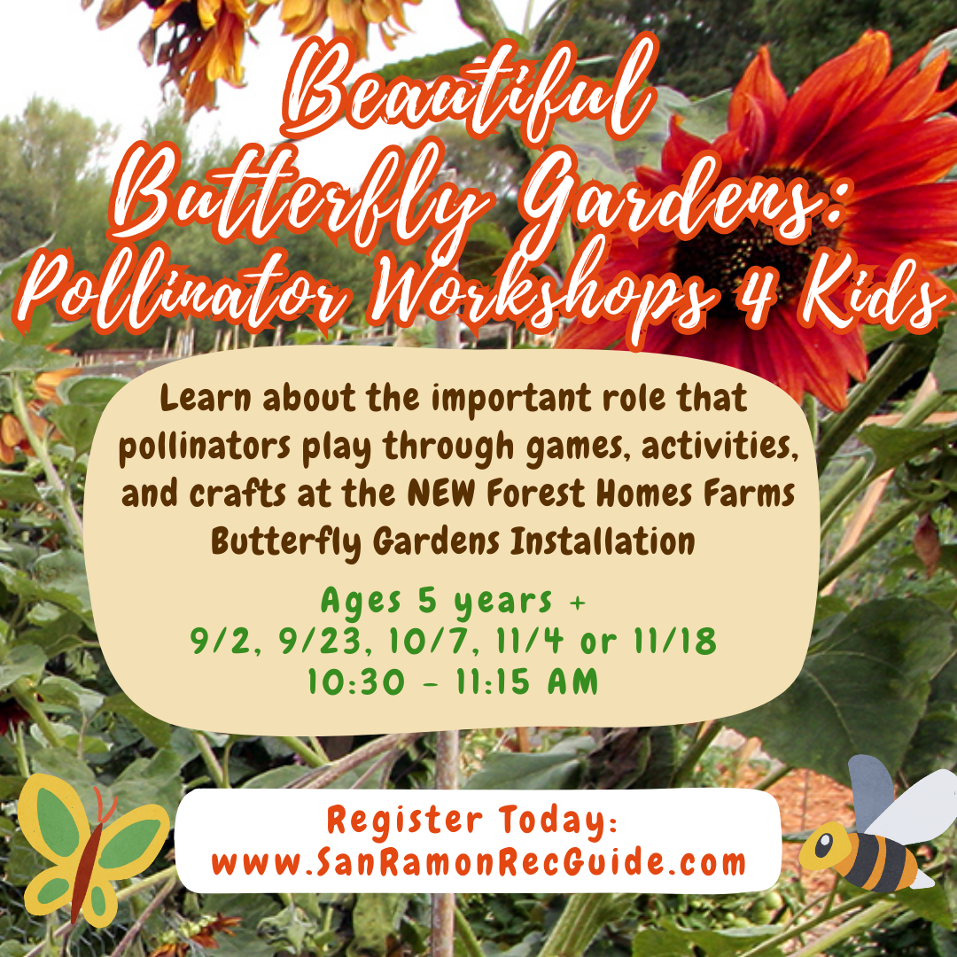 Pollinators at FHF Pollinators