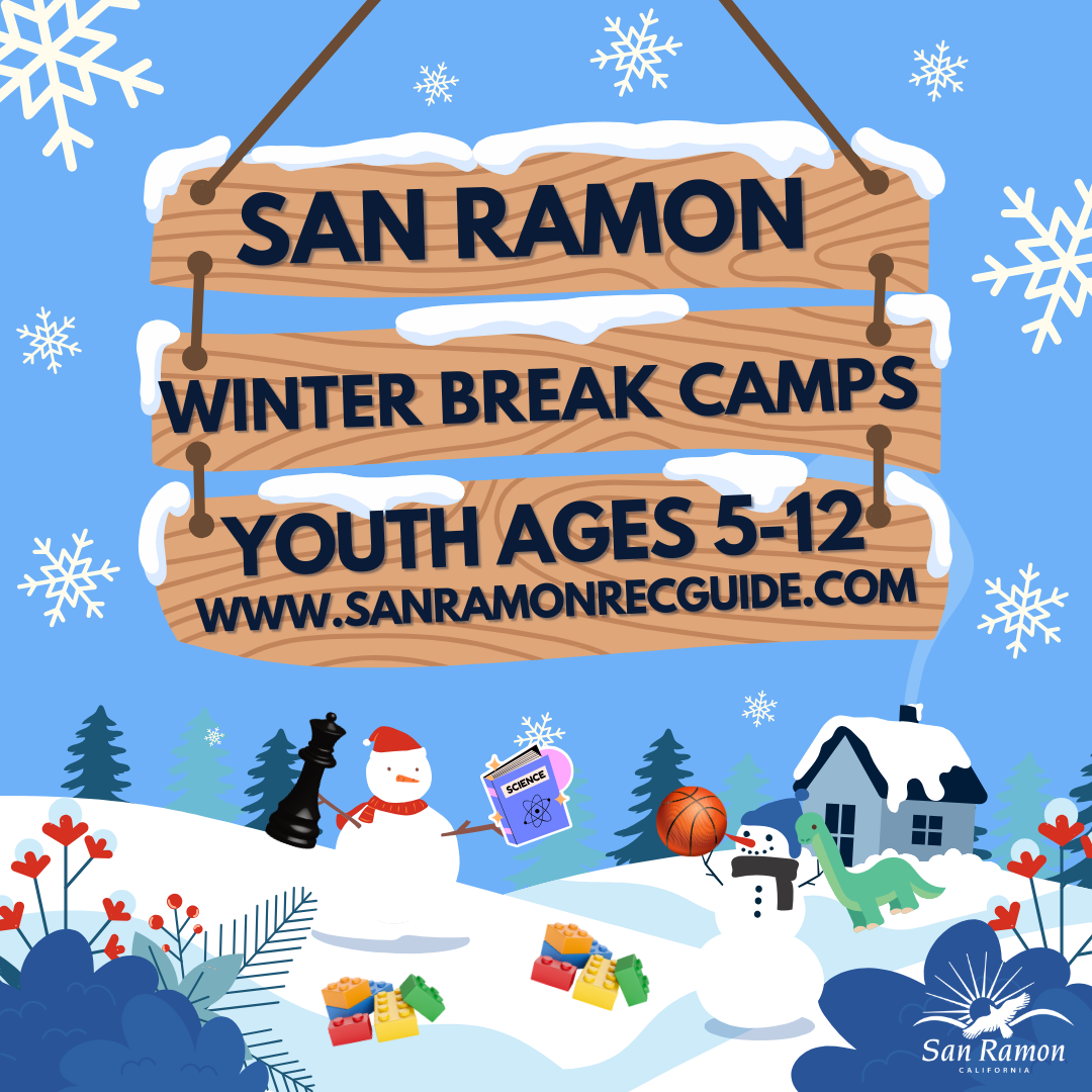 Winter Break Camps