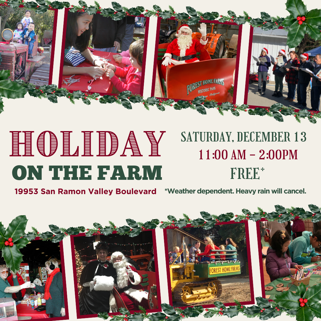 Holiday on the Farm