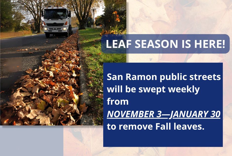 Street Sweeping Street Sweeping