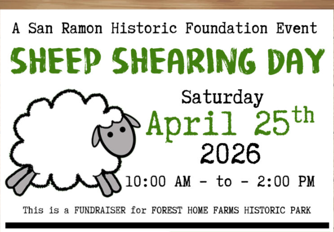 Sheep Shearing Day 2026