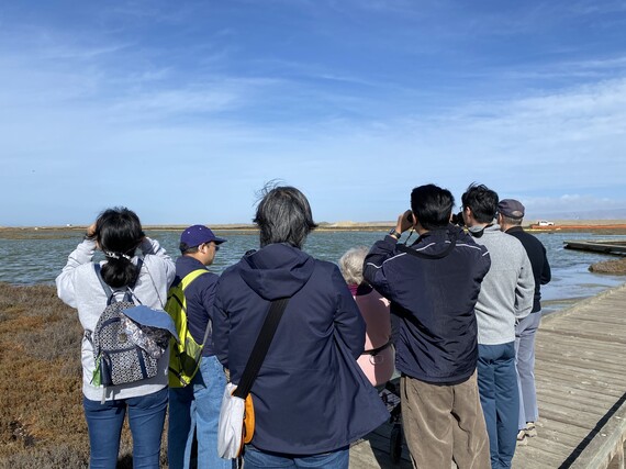 Group birding at Don Edwards National Wildlife Refuge