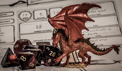 D&D
