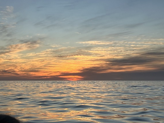 Somatic Movement wksp