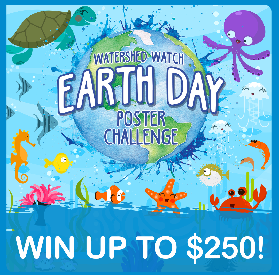 Earth Day Poster Challenge