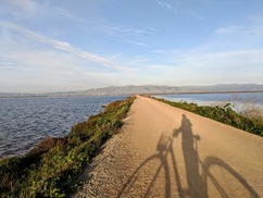 Bikers on the Bay Trail