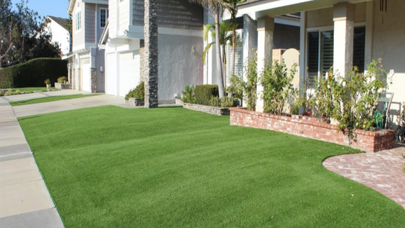 Turf