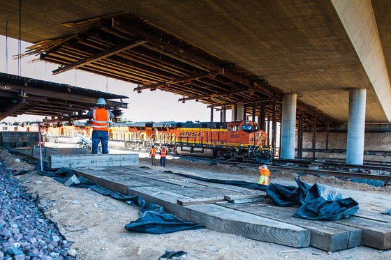 Green Tree Extension