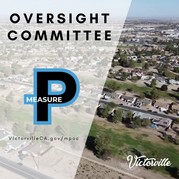 Oversight Committee