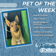 Pet of the Week