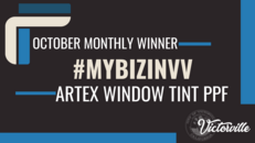 MyBizInVV