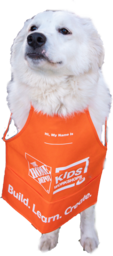 Dog in a Home Depot apron 