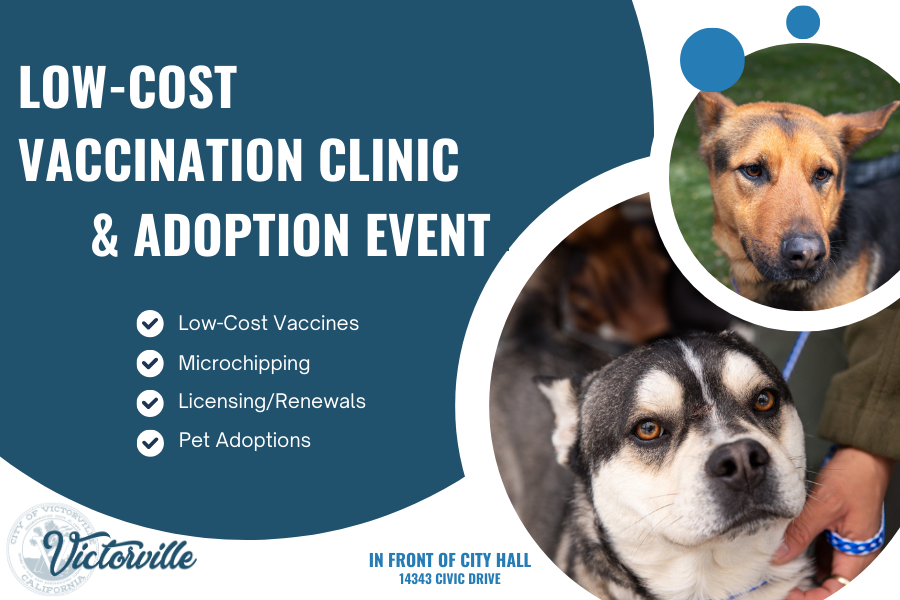 Bordetella vaccine shops for dogs cost