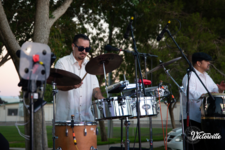 Concerts in the Park