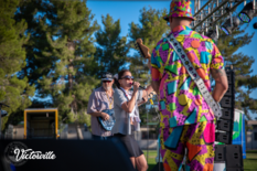 Concerts in the Park