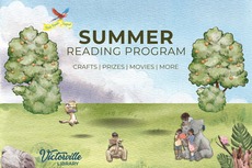 Summer Reading Program