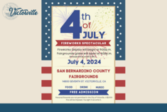 Firework Spectacular 