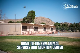Animal Services 