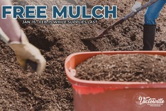 Mulch