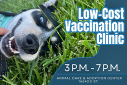Low-Cost vaccination Clinic