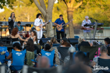 Concerts in the Park