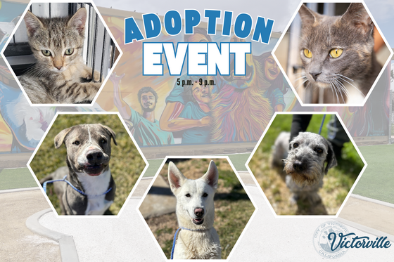 Adoption Event 