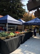 Market Day