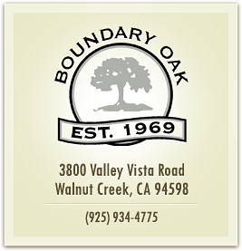 Boundary Oak