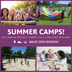 Summer Camps