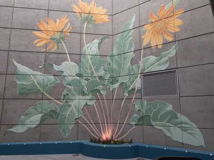 Mona Caron mural,  Balsamorhiza, 2022 