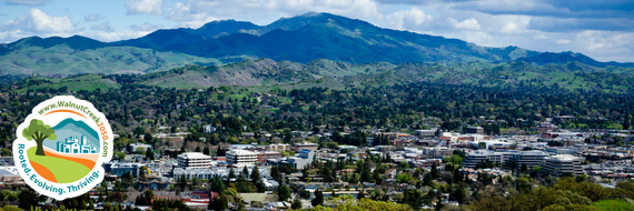 Mt. Diablo range with the city of Walnut Creek below and a logo for the General Plan Update in the left hand corner.