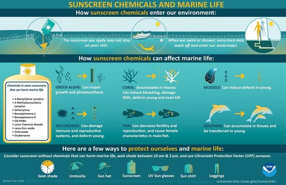 NOAA sunscreen and marine life