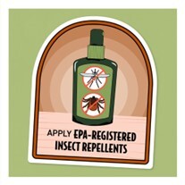 Apply EPA-Registered Insect Repellents