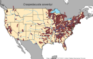 US Range Map of Craspedacusta sowerbii https://nas.er.usgs.gov/queries/factsheet.aspx?SpeciesID=1068