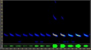 Mexican free-tailed bat echolocation call visually represented as a sonogram.