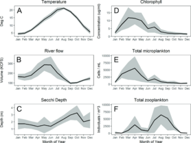 Phenology of river environment. 