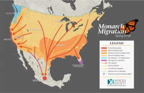 Xerces Society Monarch Migration Map